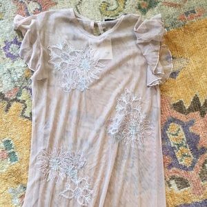 Zara Romantic Blush Sheer Pink Dress NWT